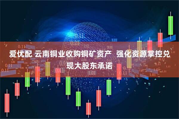 爱优配 云南铜业收购铜矿资产  强化资源掌控兑现大股东承诺