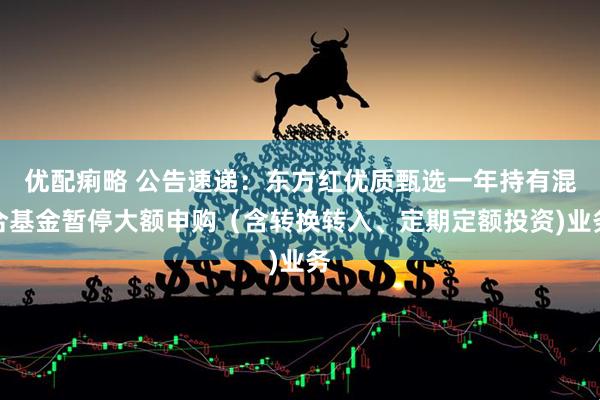 优配痢略 公告速递：东方红优质甄选一年持有混合基金暂停大额申购（含转换转入、定期定额投资)业务