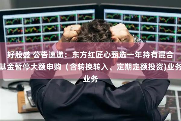 好股盛 公告速递：东方红匠心甄选一年持有混合基金暂停大额申购（含转换转入、定期定额投资)业务