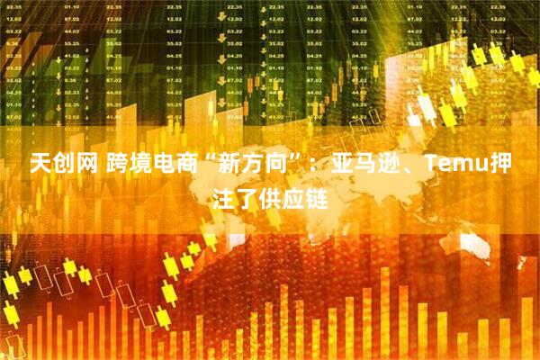 天创网 跨境电商“新方向”：亚马逊、Temu押注了供应链