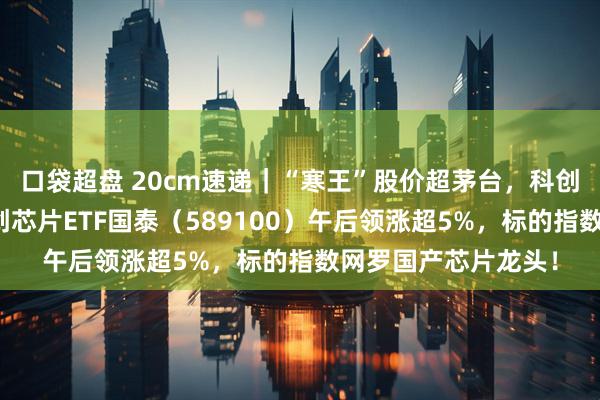 口袋超盘 20cm速递｜“寒王”股价超茅台，科创芯片景气持续！科创芯片ETF国泰（589100）午后领涨超5%，标的指数网罗国产芯片龙头！