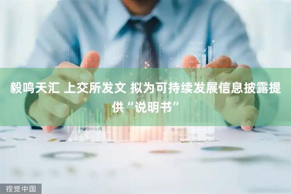 毅鸣天汇 上交所发文 拟为可持续发展信息披露提供“说明书”