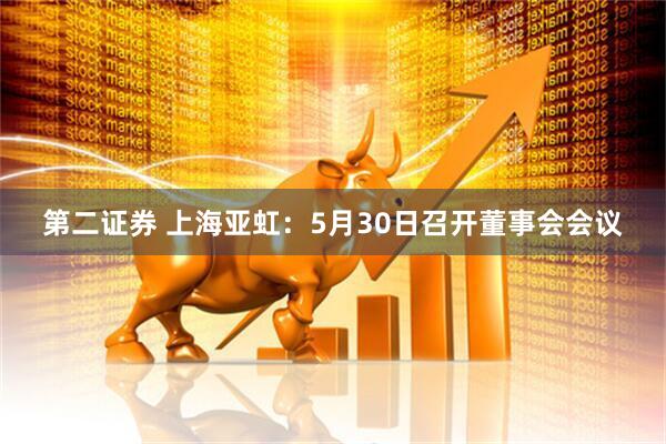 第二证券 上海亚虹：5月30日召开董事会会议