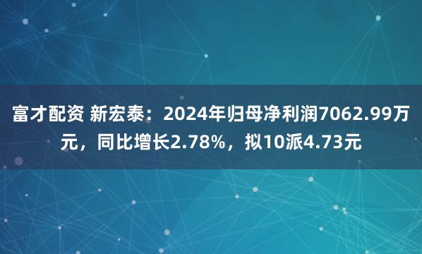 富才配资 新宏泰：2024年归母净利润7062.99万元，同比增长2.78%，拟10派4.73元