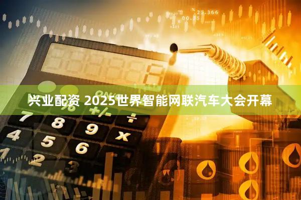 兴业配资 2025世界智能网联汽车大会开幕