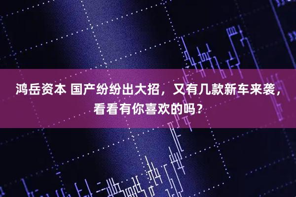 鸿岳资本 国产纷纷出大招,又有几款新车来袭,看看有你喜欢的吗?