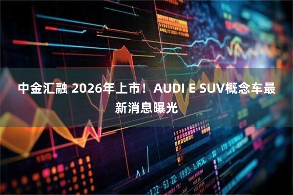 中金汇融 2026年上市!AUDI E SUV概念车最新消息曝光