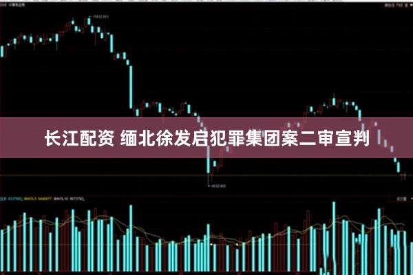 长江配资 缅北徐发启犯罪集团案二审宣判